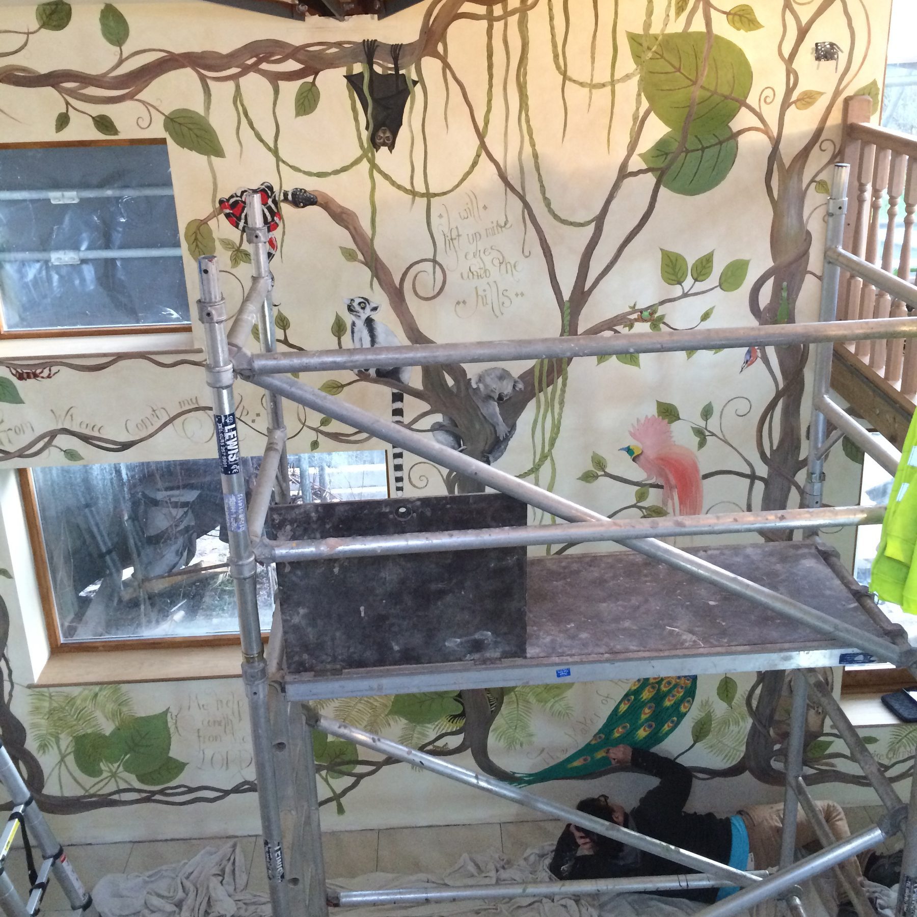 Wide view of a hand-painted jungle mural with a bat, snake, lemur, koala and bird of paradise
