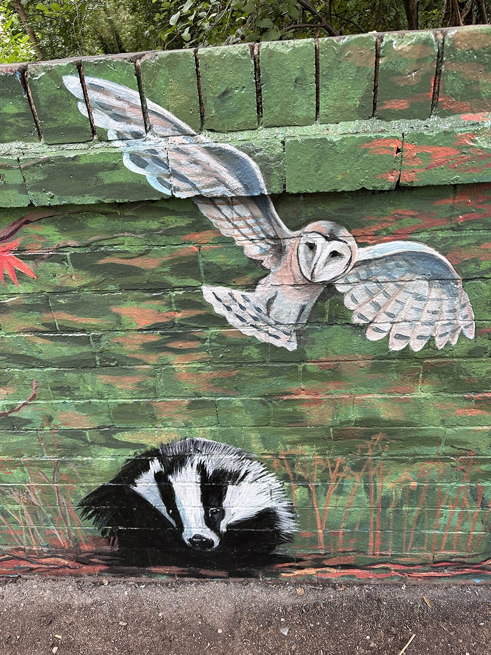 Detail of the barn owl and badger