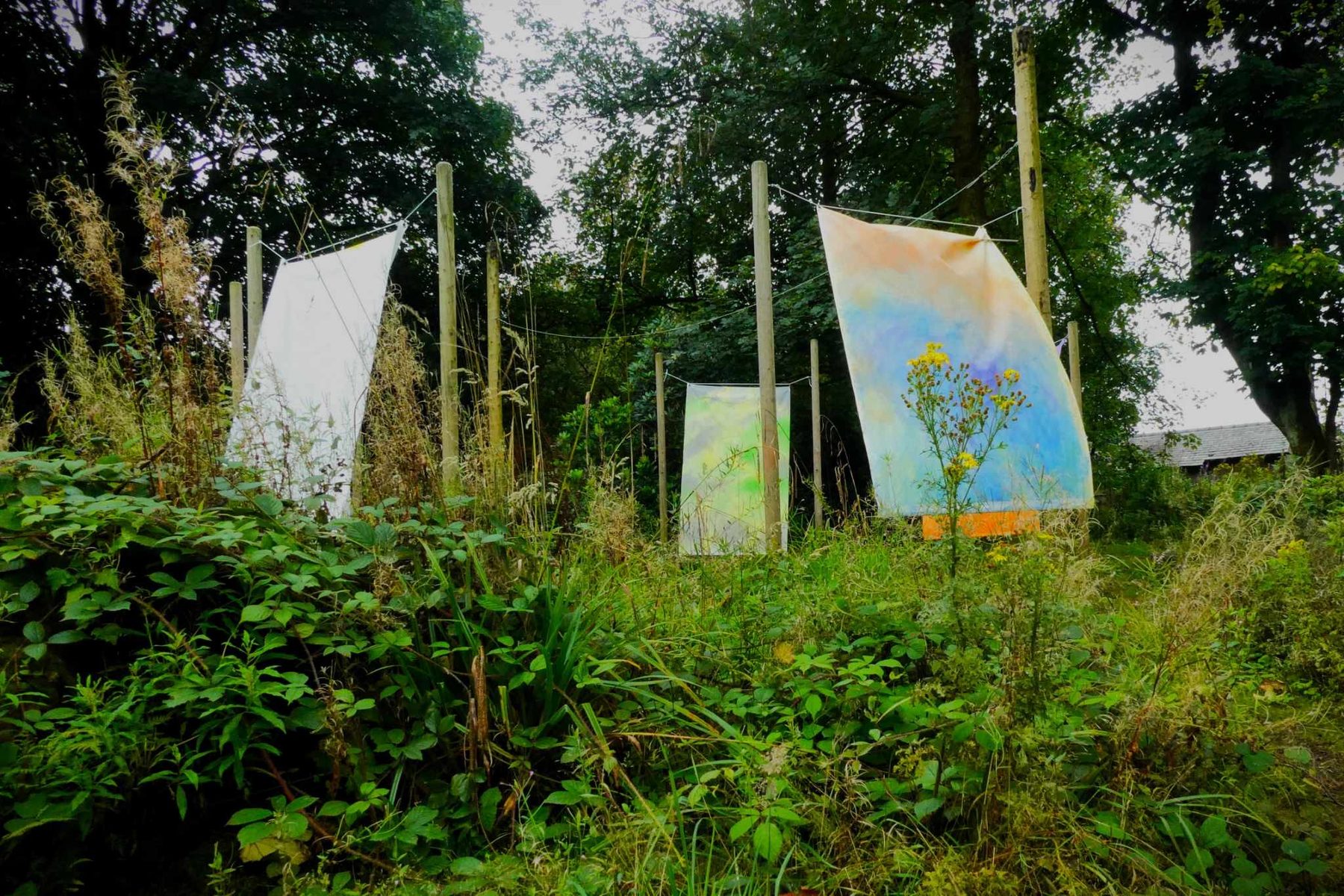 Three hand-dyed fabric canvases hanging between wooden posts in woodland, from the Human Nature solo show