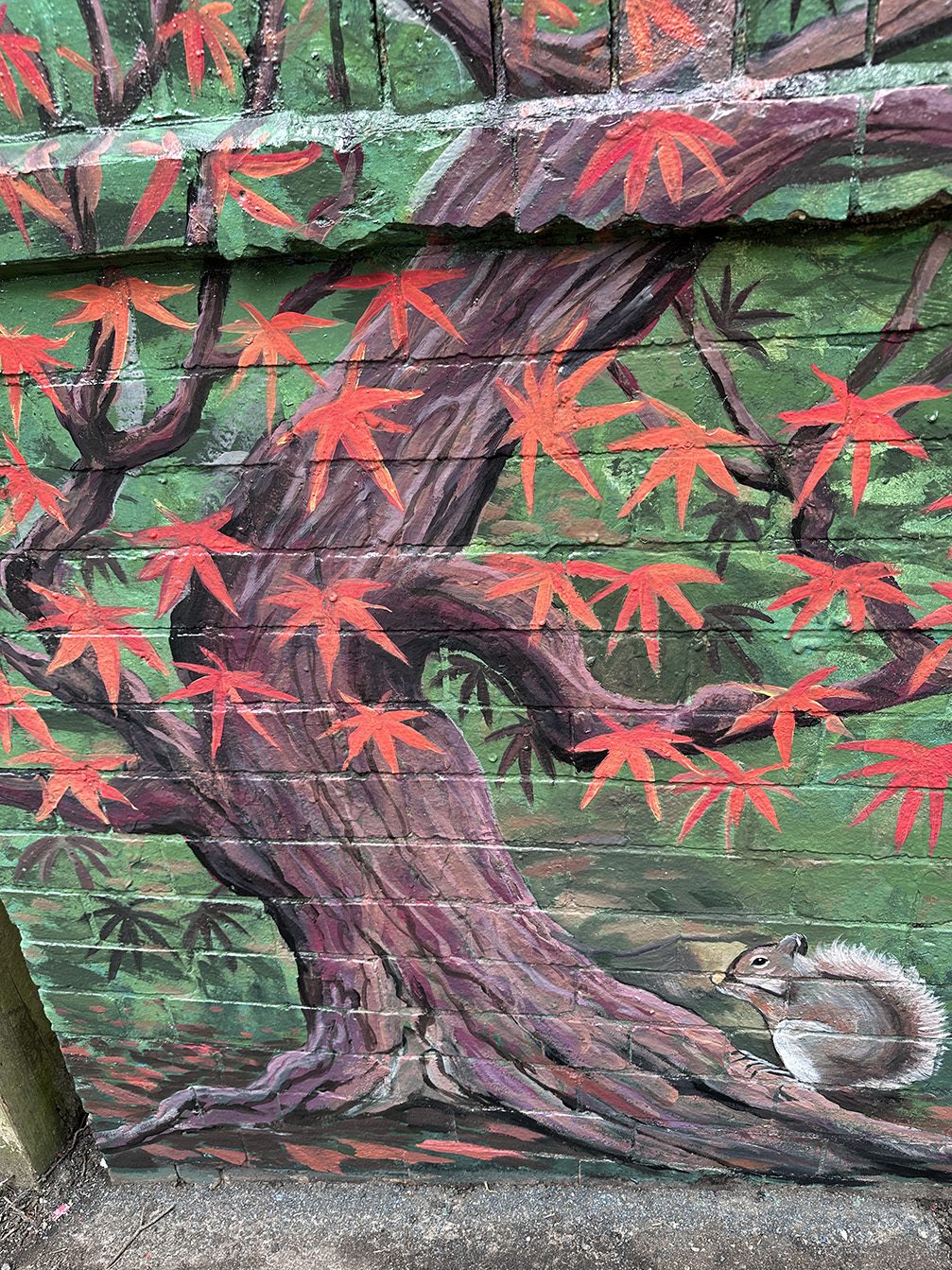 Detail of a squirrel beneath a red maple tree