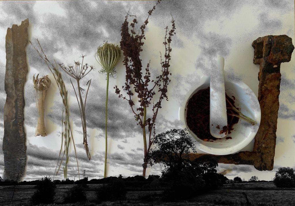 A monochrome landscape photomontage by Louise Garman with dried plants, a bone, a rusted metal bracket and a mortar and pestle holding red thread