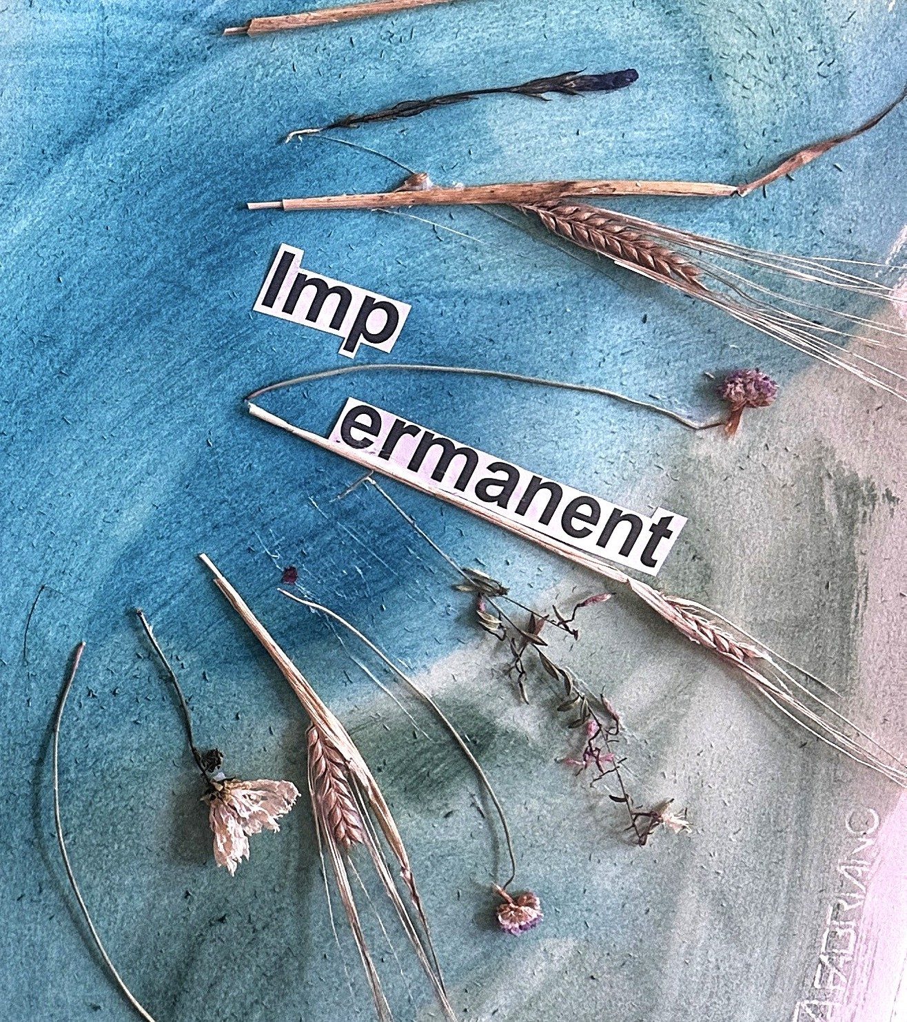 Impermanent — mixed media artwork with pressed botanicals on watercolour ground