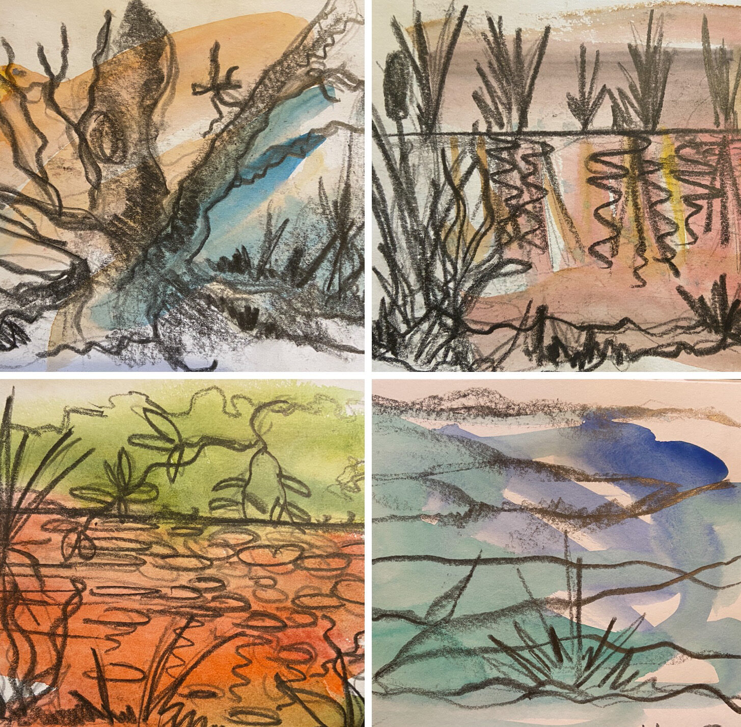 Detail of Louise Garman's four-panel mixed media drawing, depicting reeds and water in charcoal and watercolour