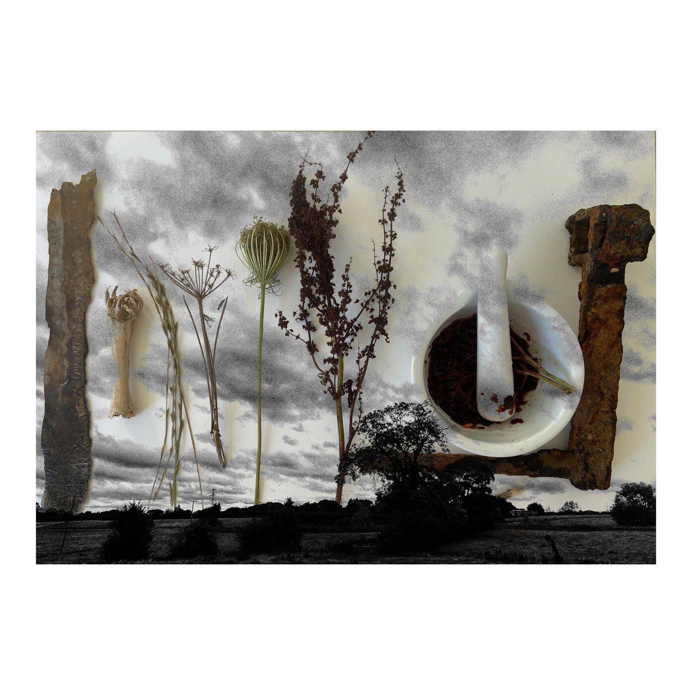 Assemblage of dried plants and rusted metal over a landscape photograph