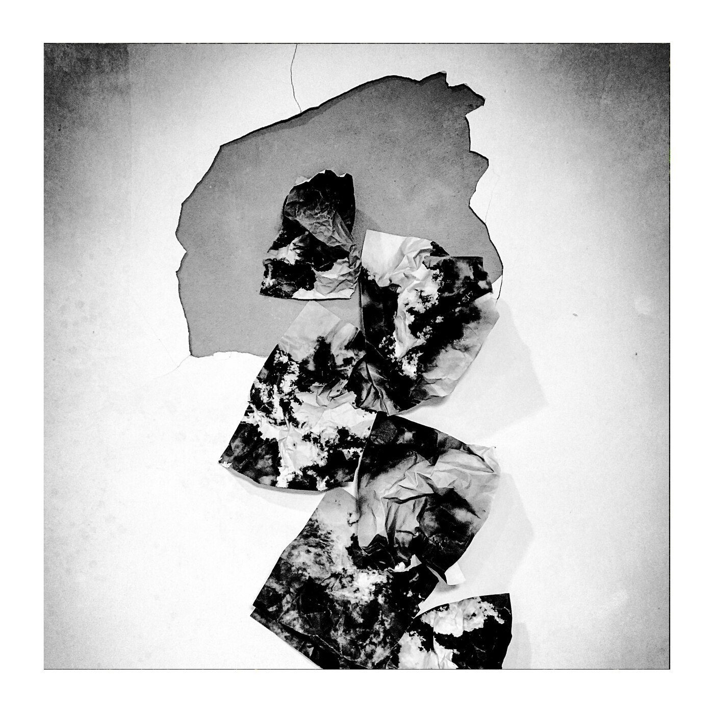 Black and white sculptural paper installation