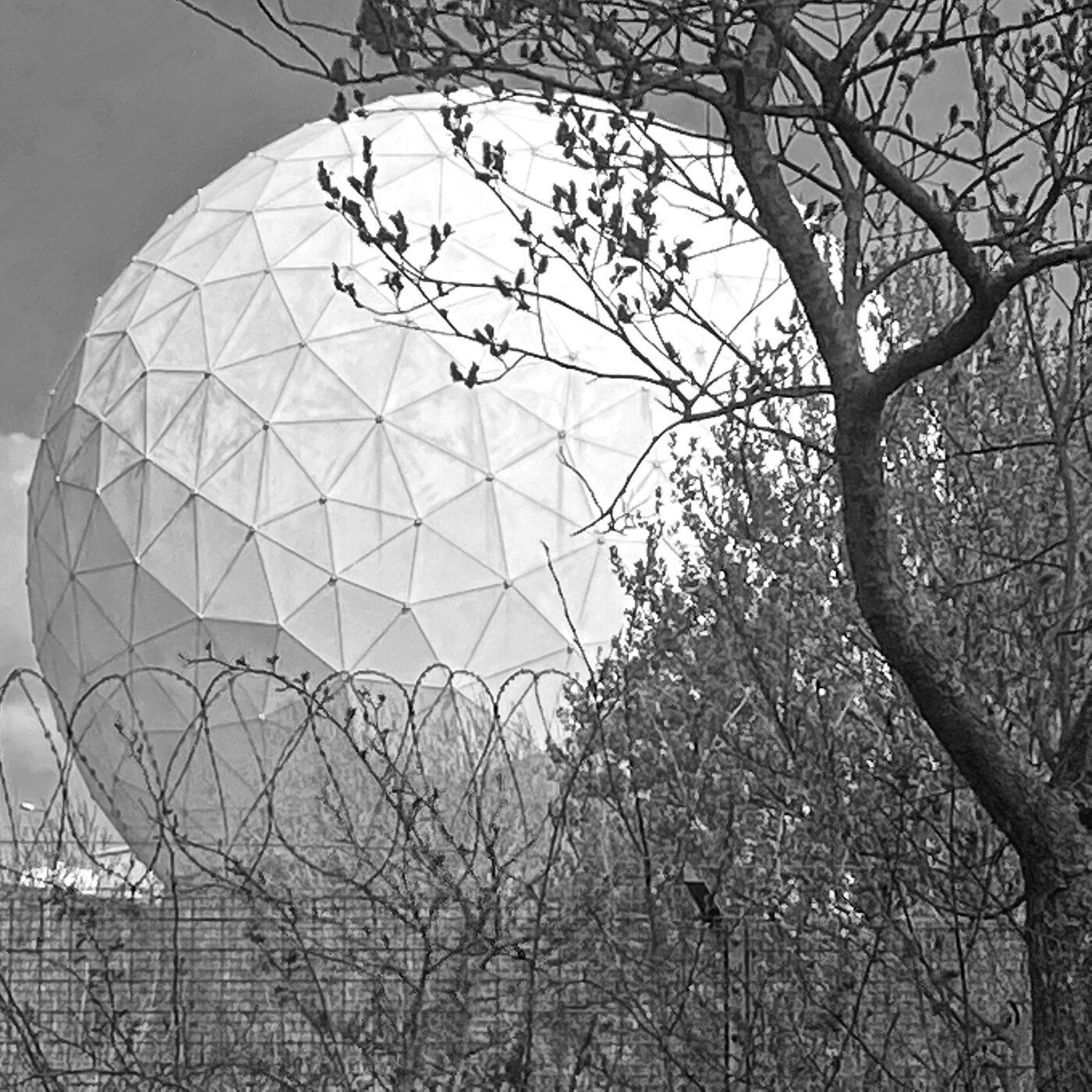 Black and white photograph of a geodesic radar dome through tree branches