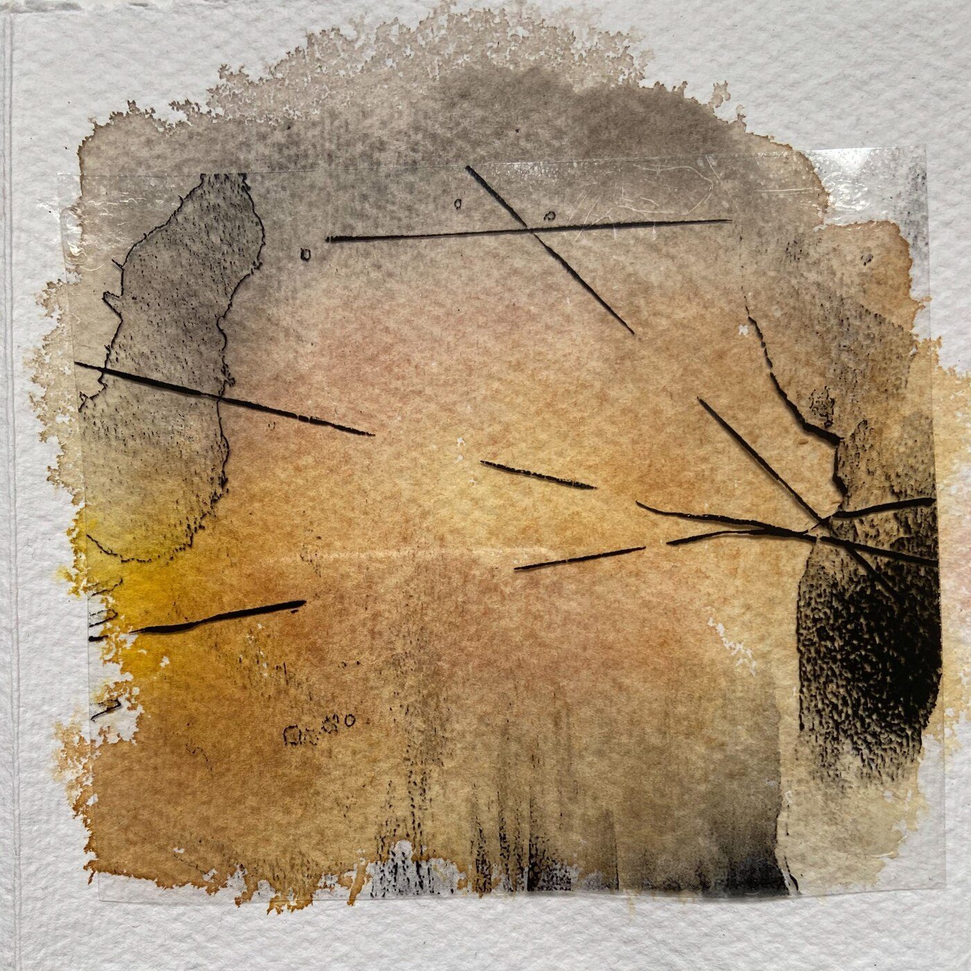 Sepia ink sketch with cracked branch marks