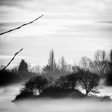 “Early Morning Walk” Photograph by Louise Garman Manchester Artist